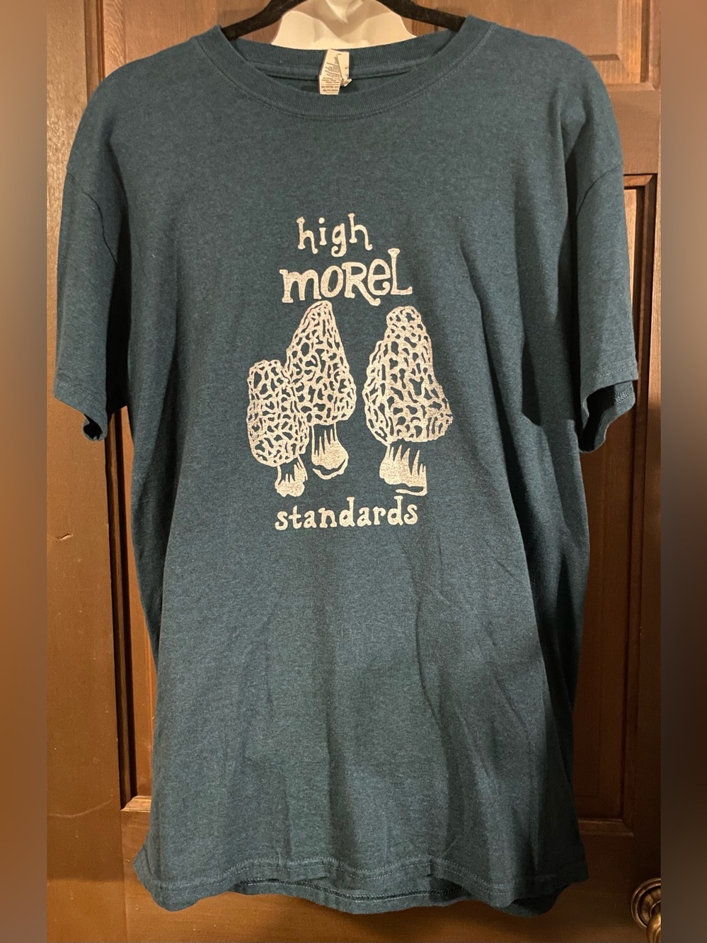 Gildan Teal Blue 'High Morel Standards' Short Sleeve Tee
